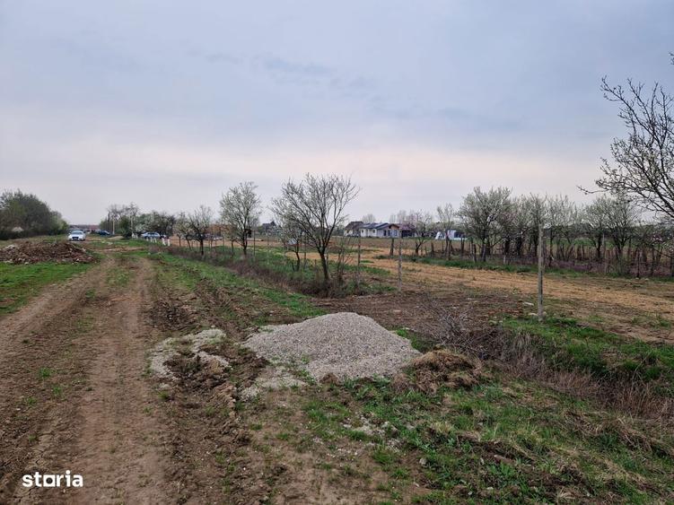 Teren intravilan in Cionche?ti dublu front stradal, 12.5 ari - 5