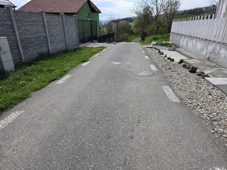 De vanzare teren intravilan 6704 mp Barsau, jud. Hunedoara - 14