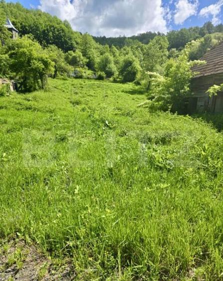 Teren intravilan de vanzare, 1609 mp, zona Petre?ti - 1