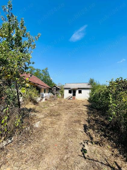 Gospodarie in Jud. Valcea, com. Pe?ceana, sat Ursoaia, 2 case ?i anexe - 4