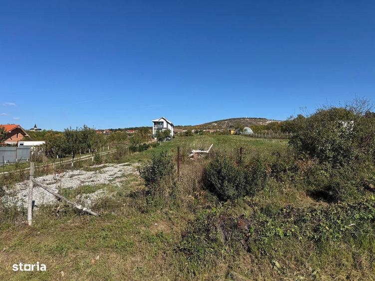 Teren intravilan in localitatea Betfia - 4