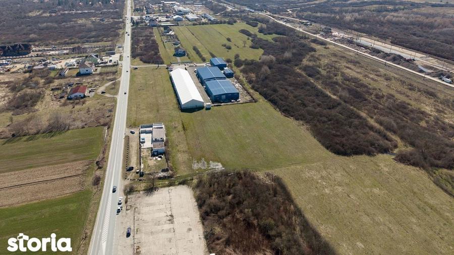 Teren extravilan de 7.000 mp langa Paltini? - 14