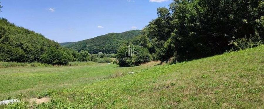 Teren de vanzare, 20.000Mp , Comuna Danes, drumul Crisului - 7