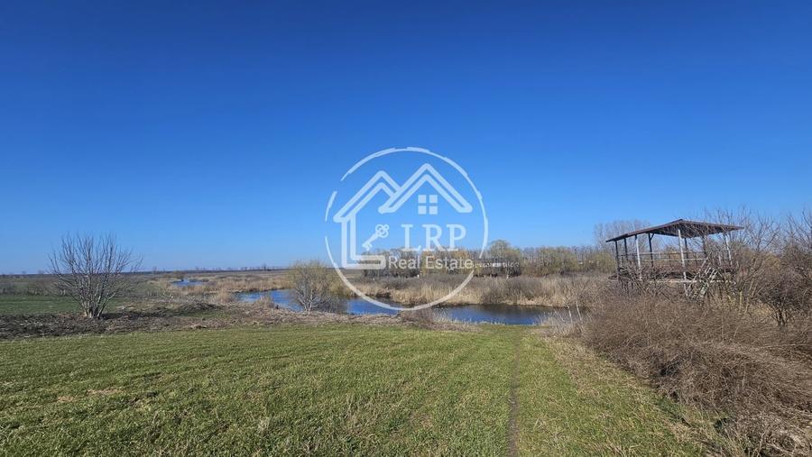 Loturi de Casa pe malul Lacului Creața, Dascălu – 460 mp + Drum servitute - 3