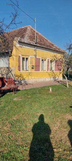 Vand casa loc Calacea jud Timi?