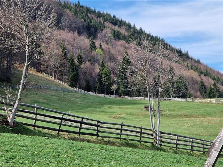 7.000 mp, pozitie spectaculoasa, fara vecini, Fundatica, Brasov - 9