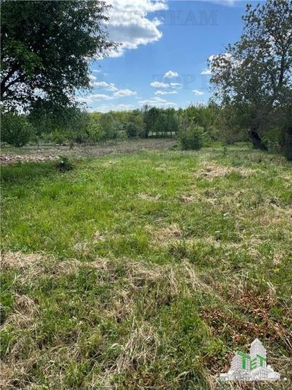 Casa si teren localitatea Posta jud Tulcea - 2