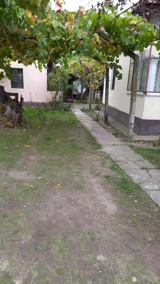 casa de vanzare localitatea Jiana - 2