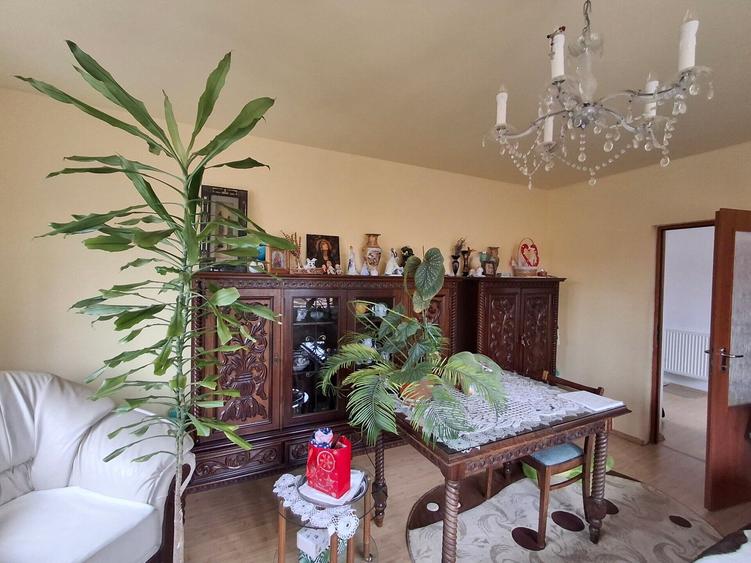 Vila P+1  Ploiesti - Paulestii Noi - 10