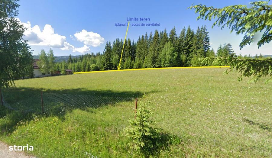 Neagra Sarului - Saru Dornei, Teren S = 6450 mp; 13 km de Vatra Dornei - 6