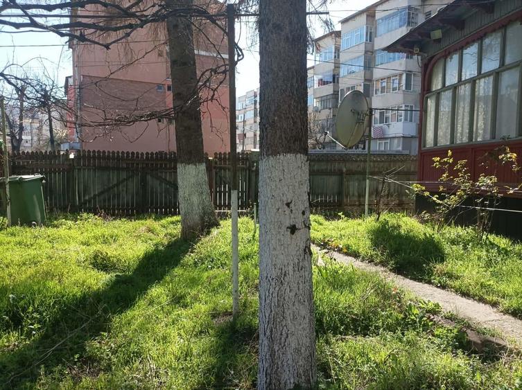 Casa + 1000mp teren Piatra Neamt - 3