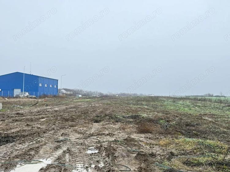 COMISION 0% | Teren Intravilan Covaci | 85 EURO/MP Zona in Dezvoltare - 2