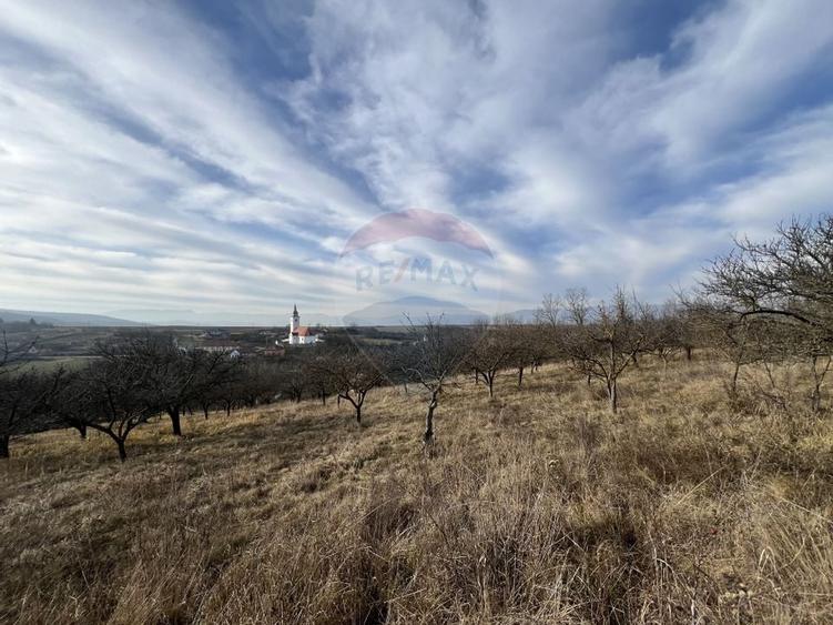 Teren intravilan Bădeni, central - 5
