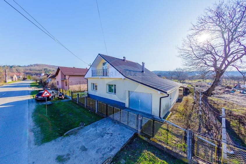 DE VANZARE Oportunitate rară proprietate cu 2 case zona Ulmeni - 29