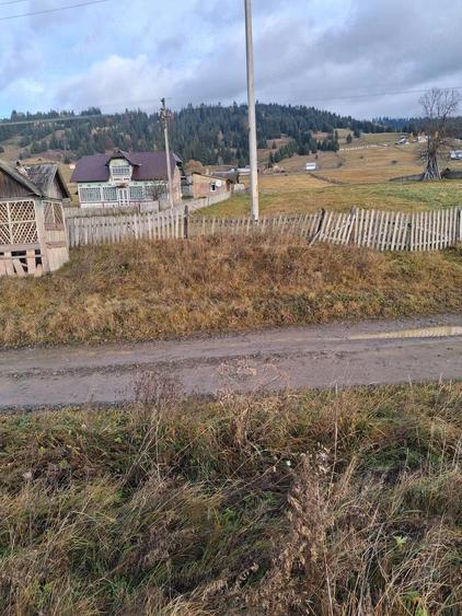 Casa lemn masiv acoperita recent + 5 anexe + teren peste 15000 mp la 46000 Euro negociabil - 3