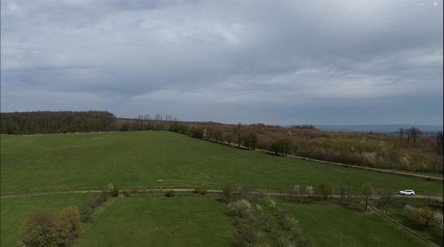 Teren intravilan 5800 mp Mitocasi - Suceava! - 11