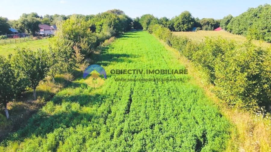 TEREN intravilan  6764 mp DRAGOMIRESTI - VAD - 8