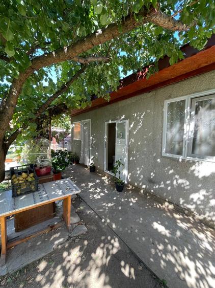 Refugiul Tău Verde: Casă Spațioasă cu Livadă, Anexe și Panouri Solare - 5