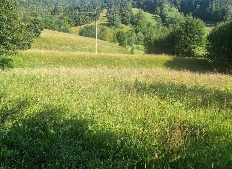 Teren intravilan 6527 mp Stulpicani - Bucovina - 3