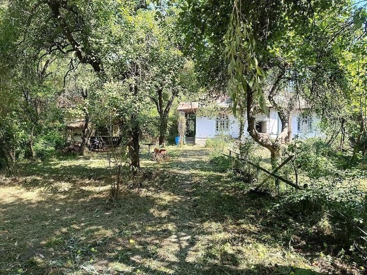 Casa si cabana in aceeasi curte de vanzare - 5
