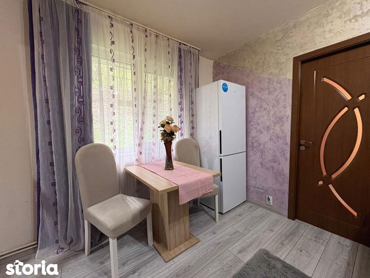 Apartament primitor si renovat, la parterul unui bloc inconjurat de ve - 7