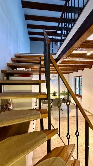 Casa - Apartament de inchiriat ultracentral - Pietonala N Balcescu - 8