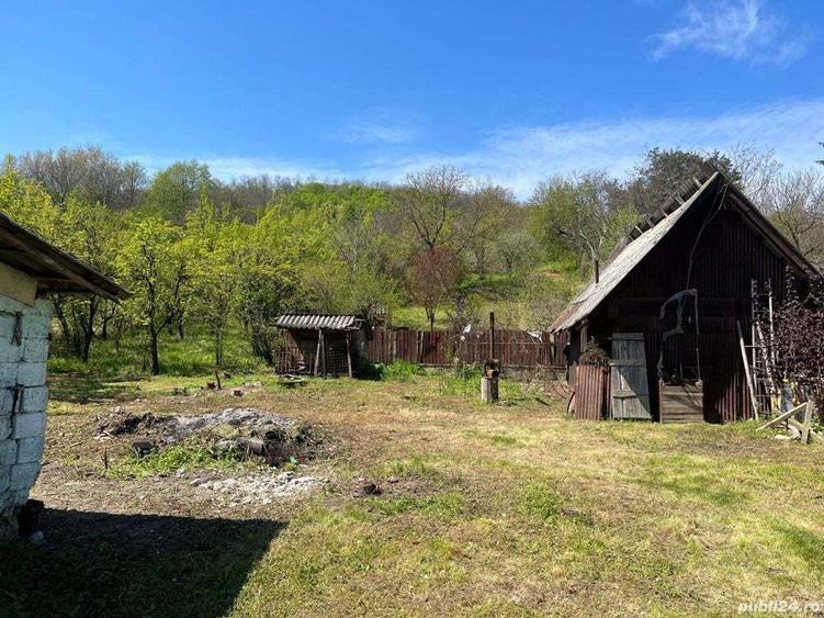 Vind casa - comuna boga?i sat birloi - 1