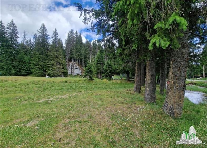 Teren intravilan de vanzare Padina/ Muntii Bucegi - 4