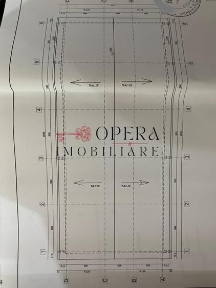 Teren intravilan 5000mp+Cladire265mp + Sera(2500mp), Rediu Aldei-Aroneanu - 3