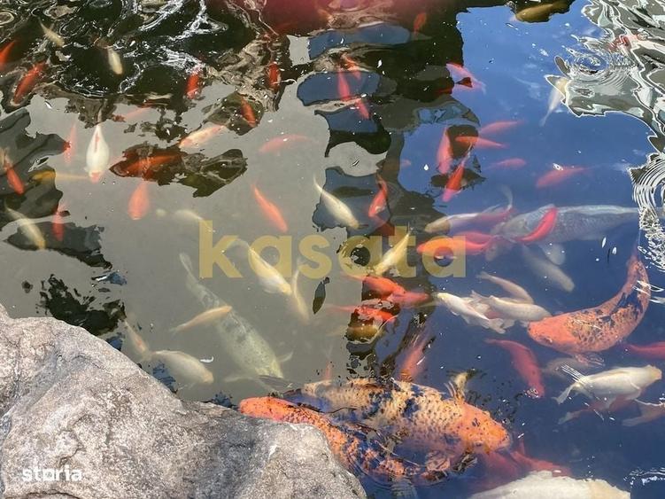 Garsonieră modernă de închiriat – North Lake Herăstrău - 4