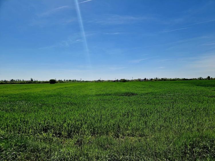 Teren intravilan 5000 mp, str.Sondei, Peris - 5