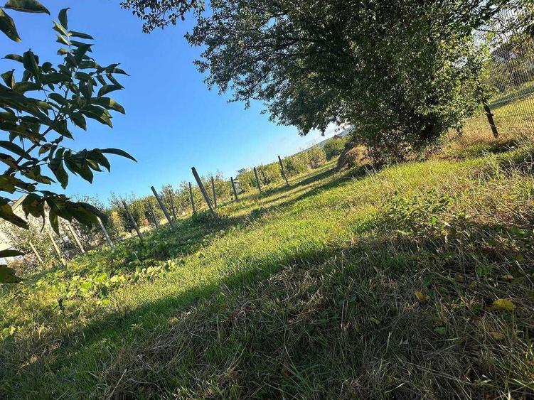 Teren de vanzare in Barnova Iasi - 10