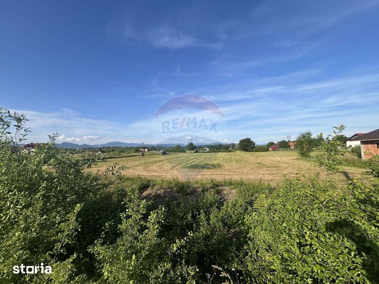 Teren de 6200 mp, în Coltău
