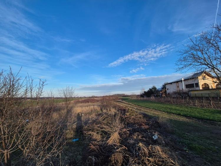 Vand teren in Tandava cu deschidere la PADURE (Gradinari, Giurgiu) - 4