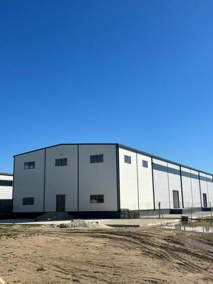 Hala de vanzare la ieșirea din București - 1