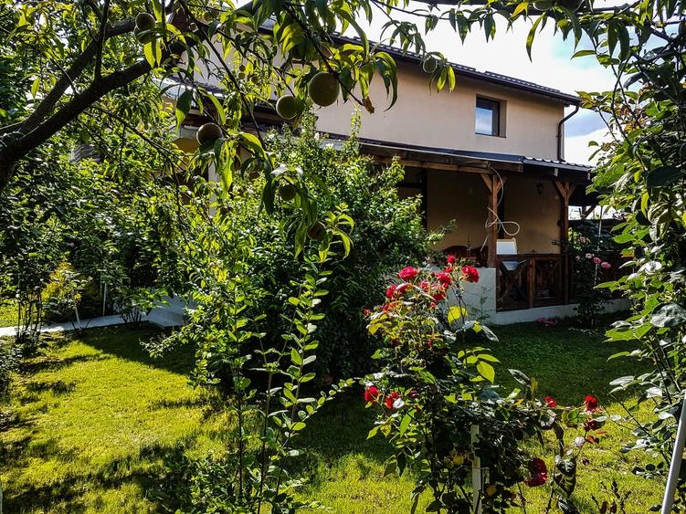 Tartasesti, Gulia - 9