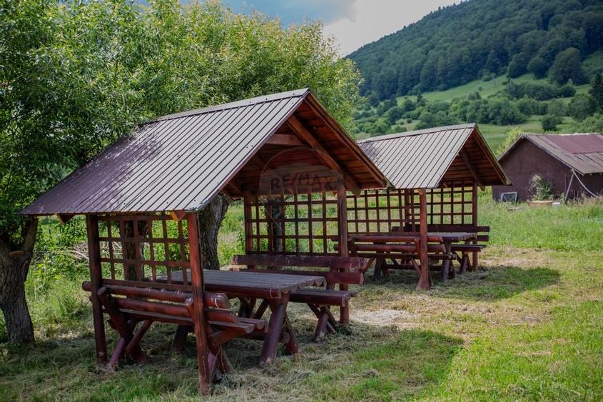 Hotel / Pensiune cu 10 camere de vanzare/Vama Buzaului - 37