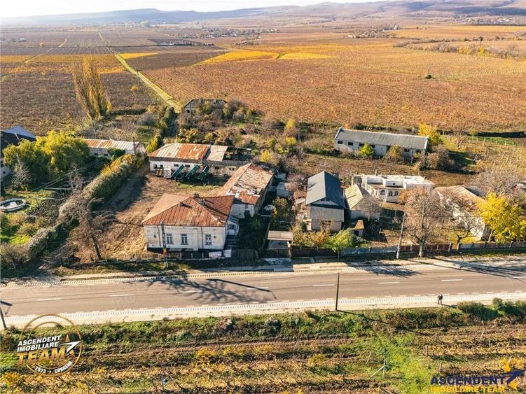 FILM! Domeniu de 4.000 mp intravilan+ casa boiereasca autentica,in podgoriile Odobesti,Vrancea - 4