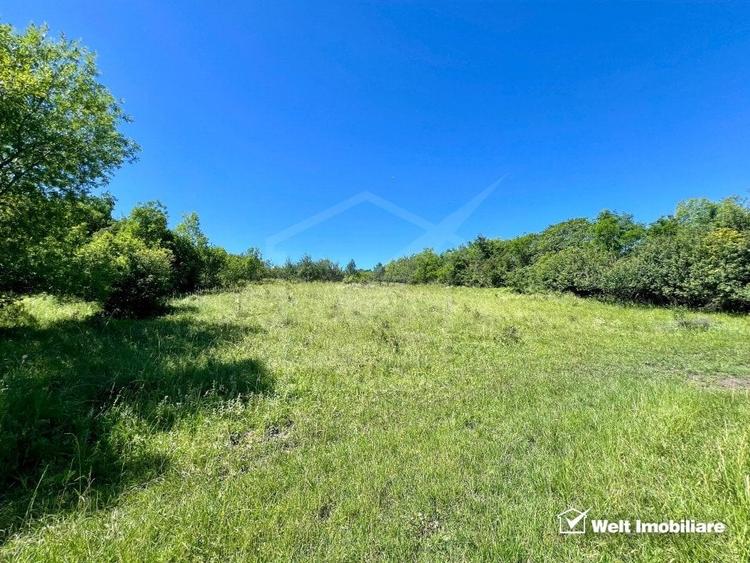 Oportunitate investitie, Chinteni, zona Macicas 31.600 MP - 6