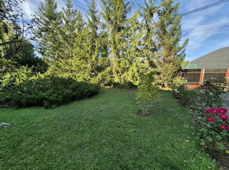 Cabana de lemn cu fundatie 86 mp+ livada pomi fructiferi+teren 847 mp - 5