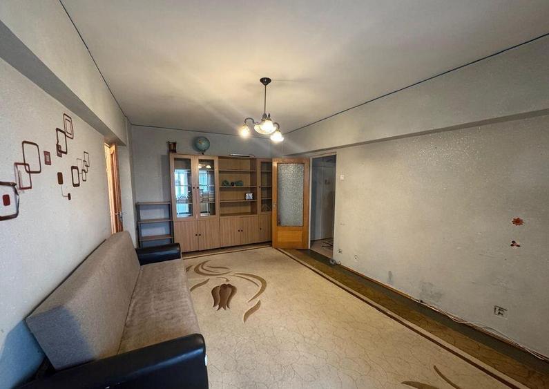 2 Camere Campia Libertatii Pet friendly - 6