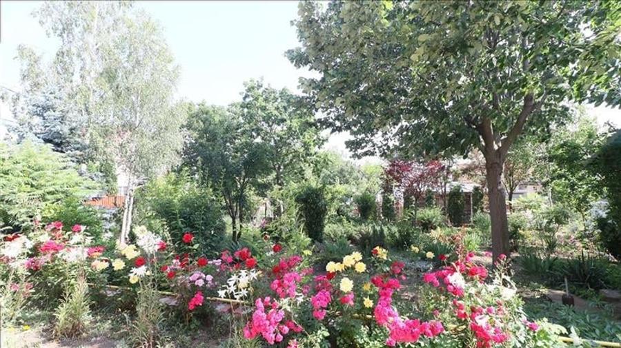 Casa deosebita in V.Lupului - 29