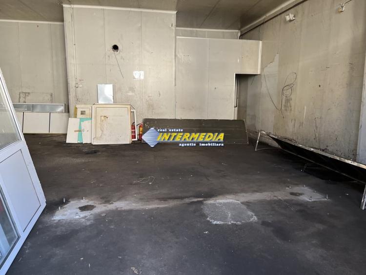 HALA DE INCHIRIAT I 2100 MP I ALBA IULIA I ZONA CENTRU I - 6