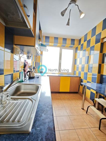 Apartament 3 camere, 68 mp, renovat, Câmpia Libertății - 13