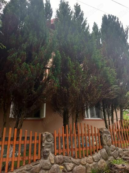 Casa de vanzare in Poiana Marului Cara?-Severin - 4