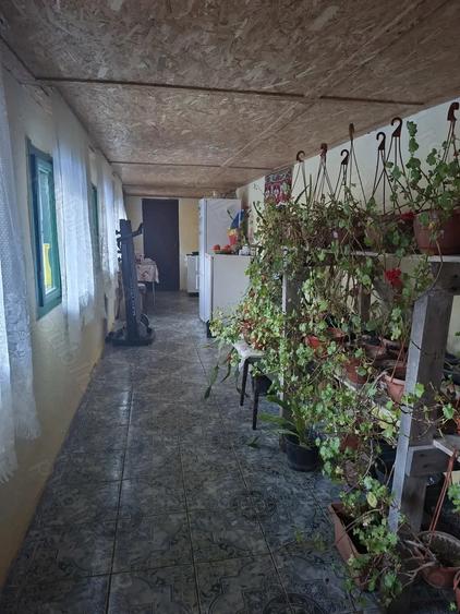 Vand casa cu teren - 8