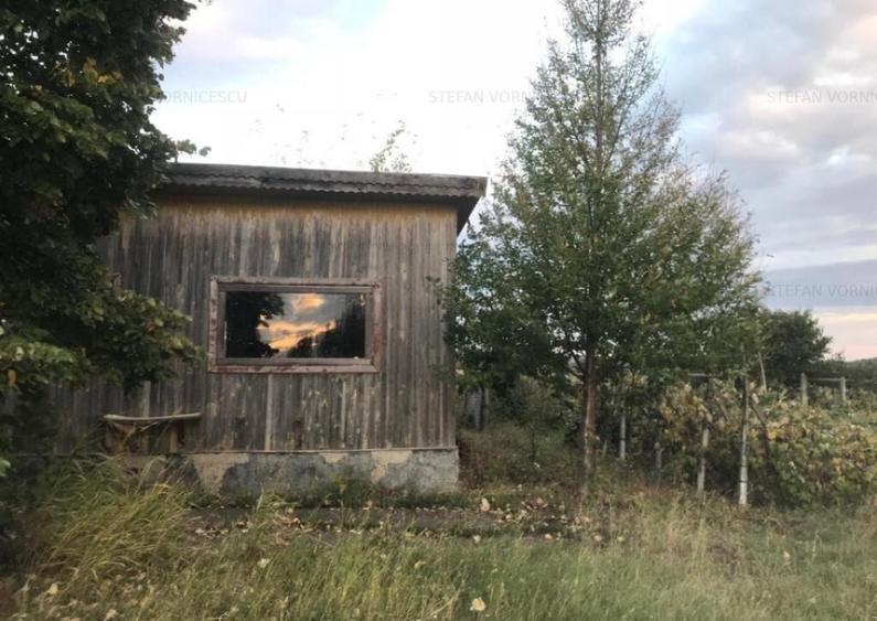 Teren la Strada EUROPEANA , CU TOATE UTILITATILE parcele de - 4