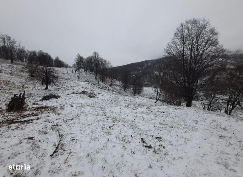 Teren extravilan , 2746 metri Cod:142788 - 2