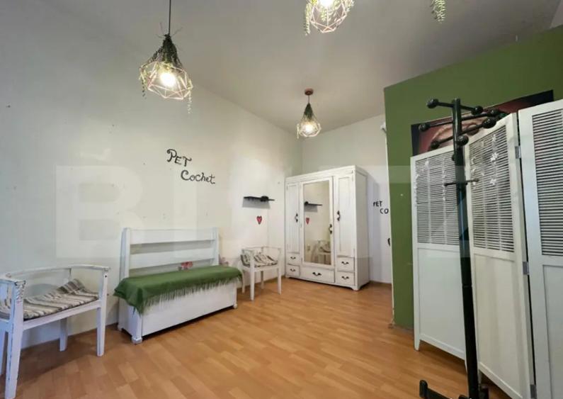 Spatiu Comercial Cochet, Teatru Oradea, 17mp - 3