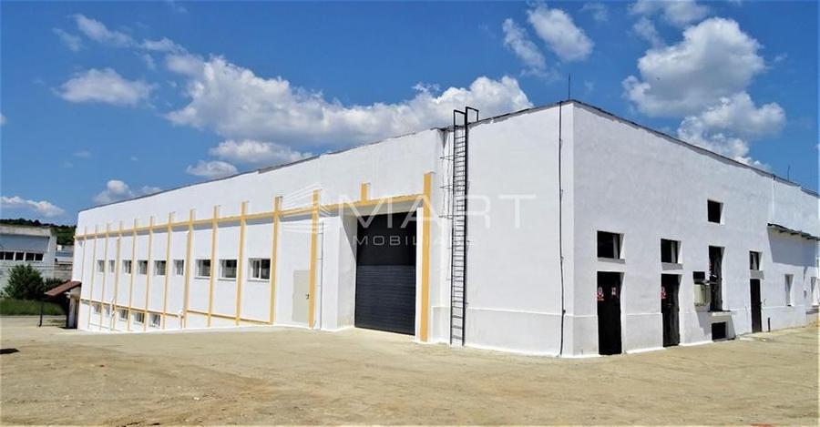 Hala industriala acces TIR, 1000mp Cisnadie - 8